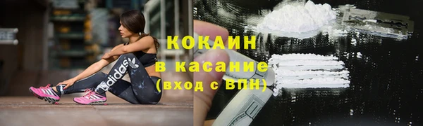 ПСИЛОЦИБИНОВЫЕ ГРИБЫ Арсеньев