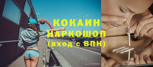 ПСИЛОЦИБИНОВЫЕ ГРИБЫ Арсеньев