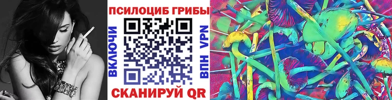 купить закладку  Спас-Клепики  Псилоцибиновые грибы Psilocybine cubensis 